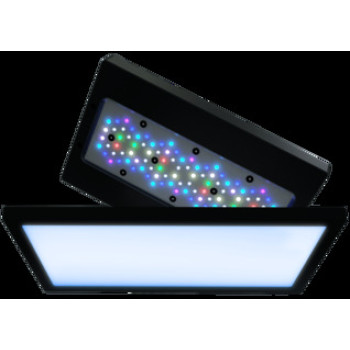 Ecotech XR15 G6 Diffuser